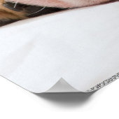 English Bulldog Puppy Poster (Ecke)