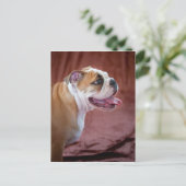 English Bulldog Puppy Postkarte (Stehend Vorderseite)