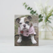 English Bulldog Puppy Postkarte (Stehend Vorderseite)
