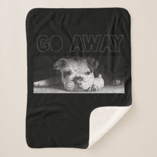 English Bulldog Puppy Social Distance geht weg Sherpadecke