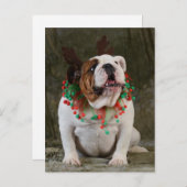 English Bulldog Reindeer Postkarte (Vorne/Hinten)