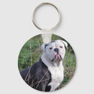 English Bulldog Schlüsselanhänger
