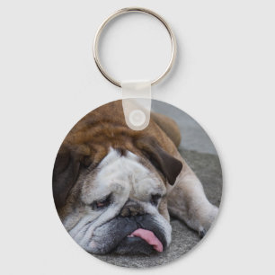 English bulldog schlüsselanhänger