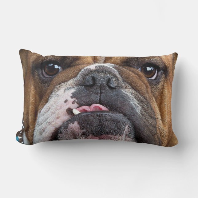 English Bulldog Throw Kissen (Vorderseite)