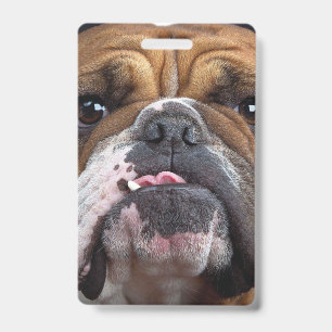 English Bulldog Throw Kissen Ausweis