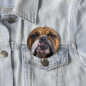 English Bulldog Throw Kissen Button (Beispiel)