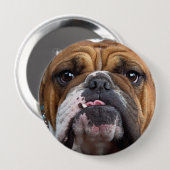 English Bulldog Throw Kissen Button (Vorne & Hinten)