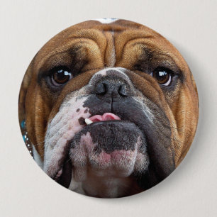 English Bulldog Throw Kissen Button