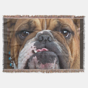 English Bulldog Throw Kissen Decke