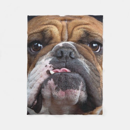English Bulldog Throw Kissen Fleecedecke (Vorderseite)