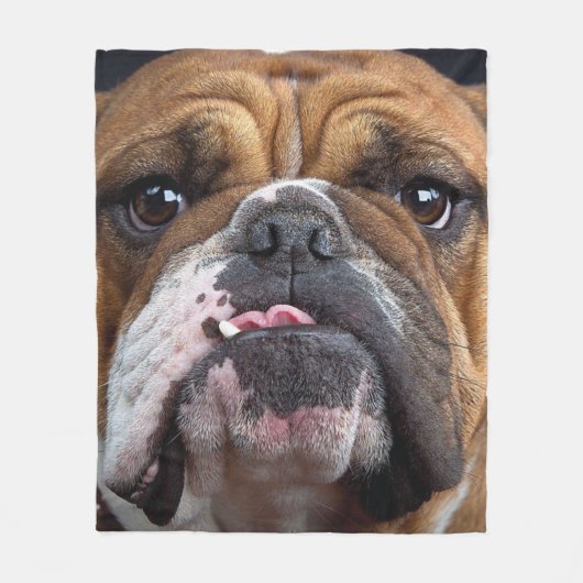 English Bulldog Throw Kissen Fleecedecke (Vorderseite)