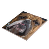 English Bulldog Throw Kissen Fliese (Seite)