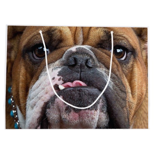 English Bulldog Throw Kissen Große Geschenktüte (Rückseite)