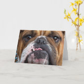 English Bulldog Throw Kissen Karte (Gelbe Blume)