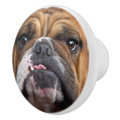 English Bulldog Throw Kissen Keramikknauf (Rechts)