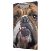 English Bulldog Throw Kissen Klemmbrett (Links)