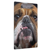 English Bulldog Throw Kissen Klemmbrett (Rechts)