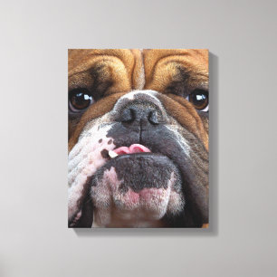 English Bulldog Throw Kissen Leinwanddruck