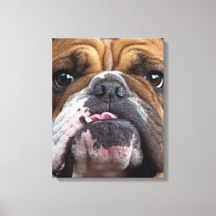 English Bulldog Throw Kissen Leinwanddruck