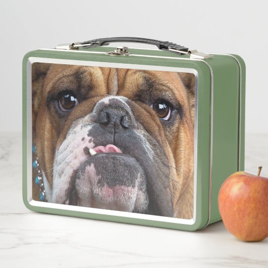 English Bulldog Throw Kissen Metall Brotdose (Beispiel)