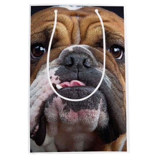 English Bulldog Throw Kissen Mittlere Geschenktüte (Vorderseite)