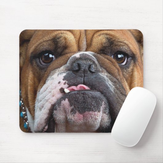 English Bulldog Throw Kissen Mousepad (Mit Mouse)
