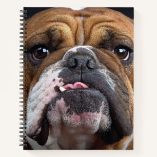 English Bulldog Throw Kissen Notizblock