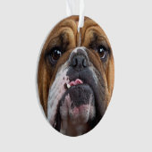 English Bulldog Throw Kissen Ornament (Vorderseite)