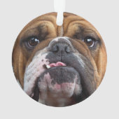 English Bulldog Throw Kissen Ornament (Rückseite)