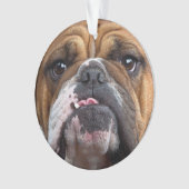 English Bulldog Throw Kissen Ornament (Vorderseite)