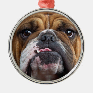 English Bulldog Throw Kissen Ornament Aus Metall