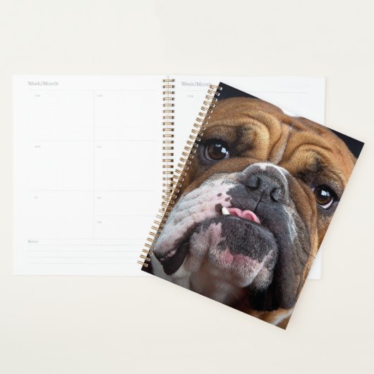 English Bulldog Throw Kissen Planer (Anzeige)