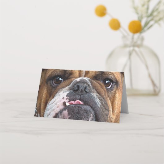 English Bulldog Throw Kissen Platzkarte (Vorderseite)