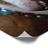 English Bulldog Throw Kissen Poster (Ecke)