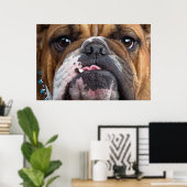 English Bulldog Throw Kissen Poster (Heimbüro)