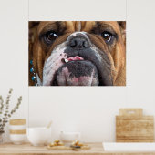 English Bulldog Throw Kissen Poster (Küche)