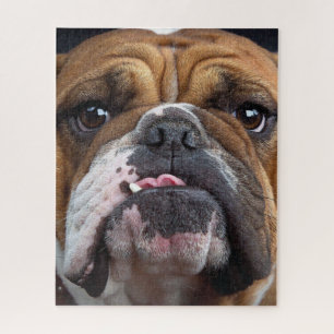 English Bulldog Throw Kissen Puzzle