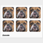 English Bulldog Throw Kissen Quadratischer Aufkleber (Blatt)