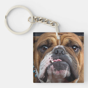 English Bulldog Throw Kissen Schlüsselanhänger