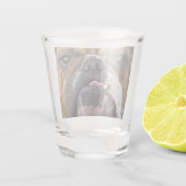 English Bulldog Throw Kissen Schnapsglas (Rückseite)