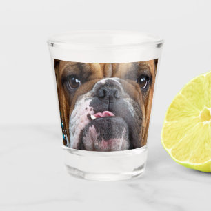 English Bulldog Throw Kissen Schnapsglas