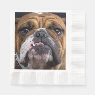 English Bulldog Throw Kissen Serviette
