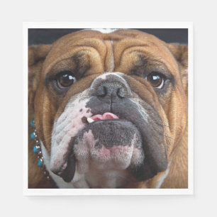 English Bulldog Throw Kissen Serviette