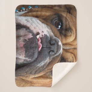 English Bulldog Throw Kissen Sherpadecke