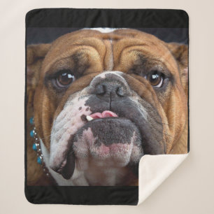 English Bulldog Throw Kissen Sherpadecke