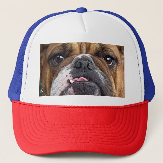 English Bulldog Throw Kissen Truckerkappe (Vorderseite)
