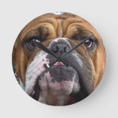English Bulldog  Throw Pillow Runde Wanduhr (Vorderseite)