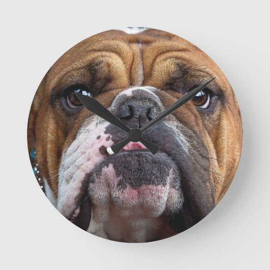 English Bulldog  Throw Pillow Runde Wanduhr (Vorderseite)