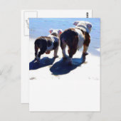 English Bulldog und Puppy Postkarte (Vorne/Hinten)