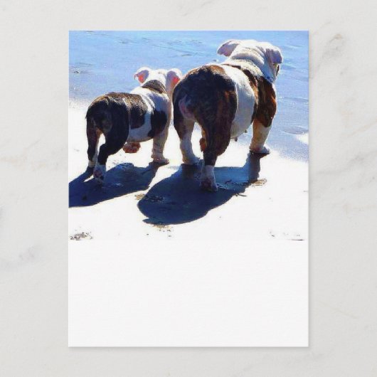 English Bulldog und Puppy Postkarte (Vorderseite)